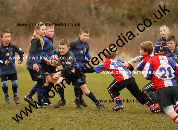 Dings v Sharks U-9s-28