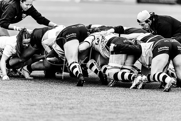 Bristol Bears Women v Harlequins Women 200321