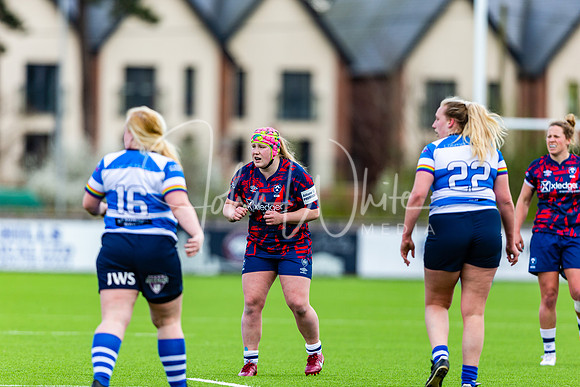 Dings Crusaders Henley Hawks