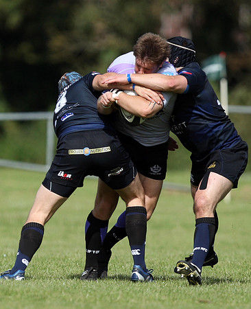 Dings Crusaders v Clifton