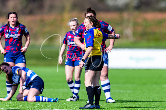 Dings Crusaders Henley Hawks