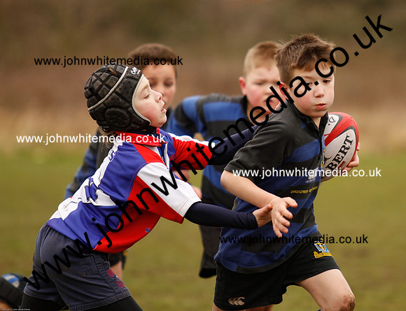 Dings v Sharks U-9s-34