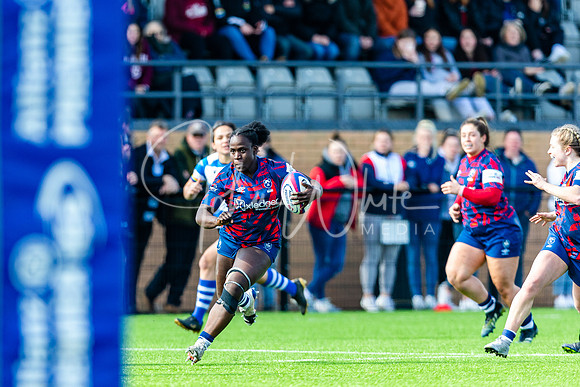 Dings Crusaders Henley Hawks
