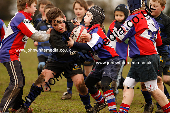 Dings v Sharks U-9s-82