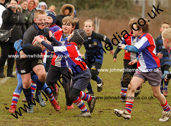 Dings v Sharks U-9s-55