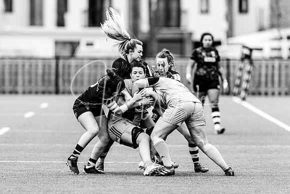 Bristol Bears Women v Harlequins Women 200321