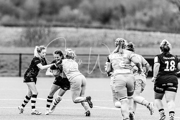 Bristol Bears Women v Harlequins Women 200321