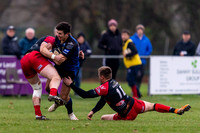 Old Reds v Dings Crusaders 241118