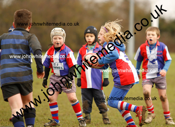 Dings v Sharks U-9s-84