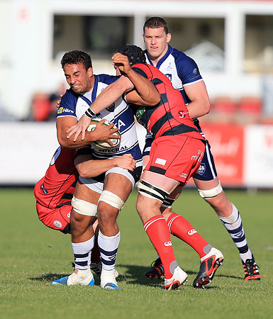 Moseley v Bristol Rugby