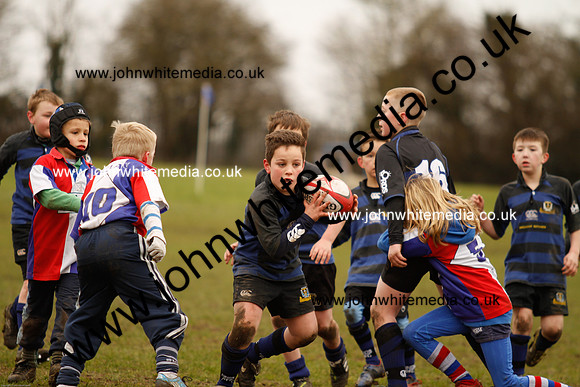 Dings v Sharks U-9s-81