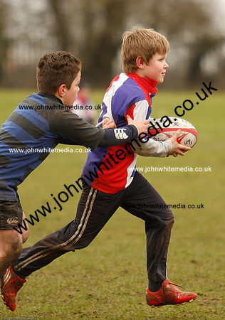 Dings v Sharks U-9s-97