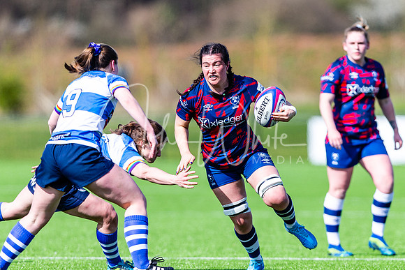 Dings Crusaders Henley Hawks