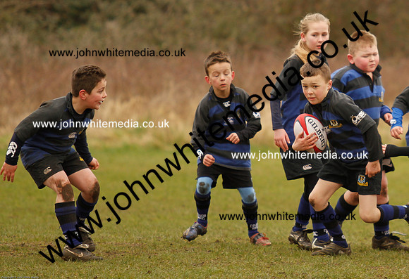 Dings v Sharks U-9s-29