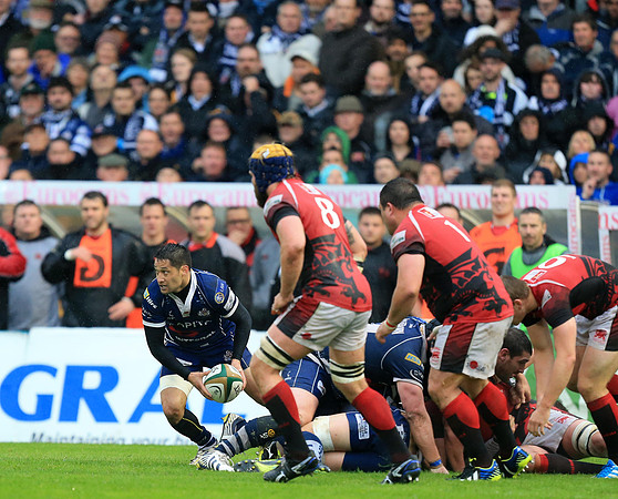 Bristol Rugby v London Welsh