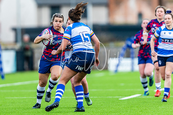 Dings Crusaders Henley Hawks