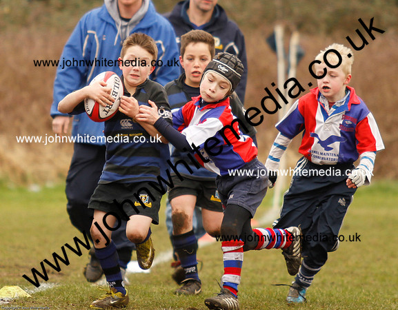 Dings v Sharks U-9s-26