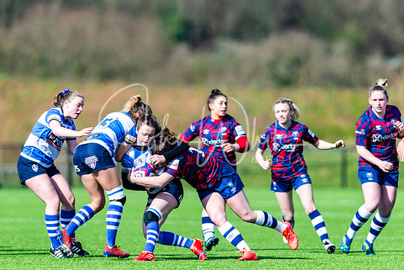 Dings Crusaders Henley Hawks