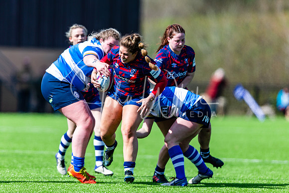 Dings Crusaders Henley Hawks