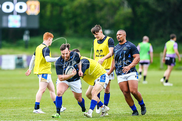 Clifton Rugby Dings Crusaders