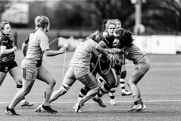 Bristol Bears Women v Harlequins Women 200321