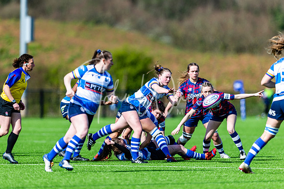 Dings Crusaders Henley Hawks