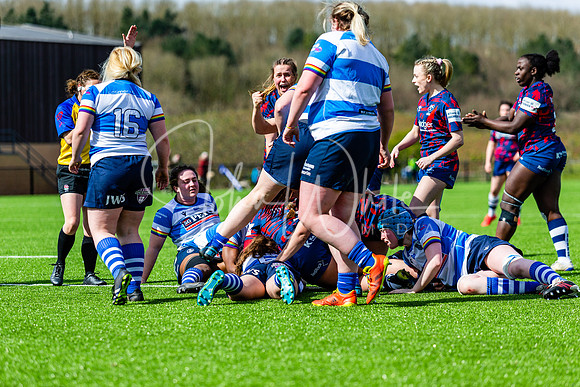 Dings Crusaders Henley Hawks