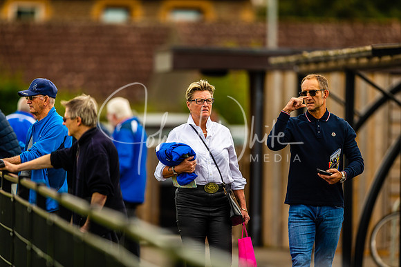 Dings v Luctonians