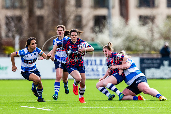 Dings Crusaders Henley Hawks