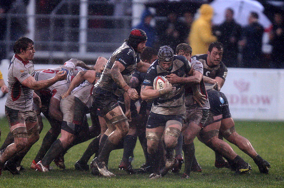 Plymouth Albion v Bristol Rugby