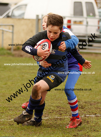 Dings v Sharks U-9s-23