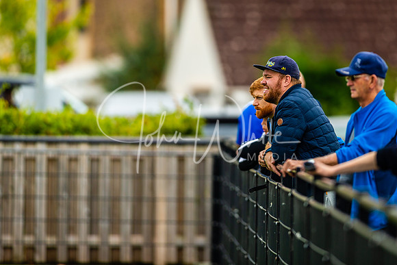 Dings v Luctonians
