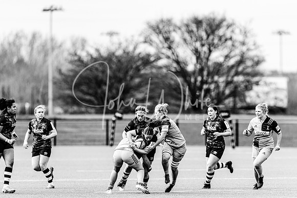 Bristol Bears Women v Harlequins Women 200321