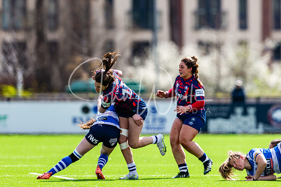 Dings Crusaders Henley Hawks