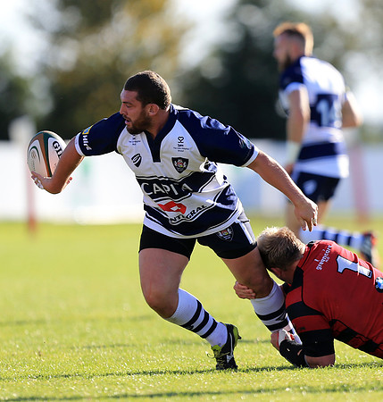 Moseley v Bristol Rugby