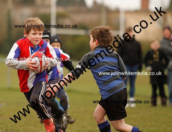 Dings v Sharks U-9s-3