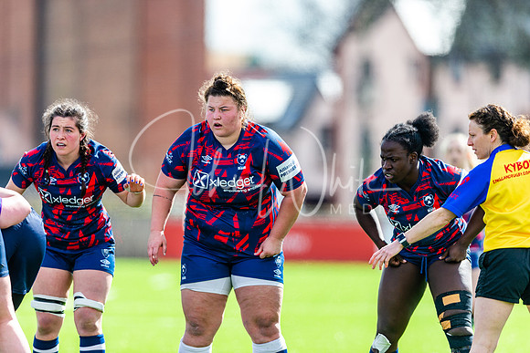Dings Crusaders Henley Hawks