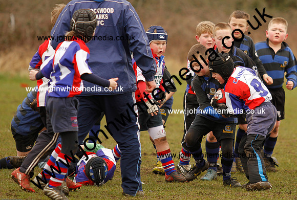 Dings v Sharks U-9s-15