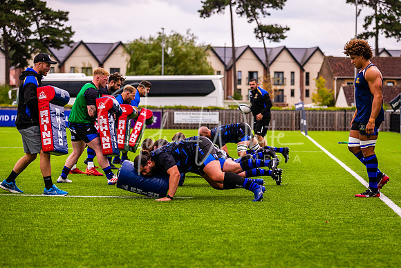 Dings v Luctonians