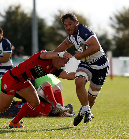 Moseley v Bristol Rugby