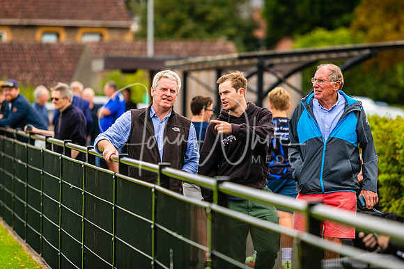 Dings v Luctonians