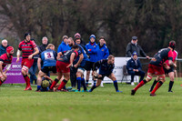Old Reds v Dings Crusaders 241118