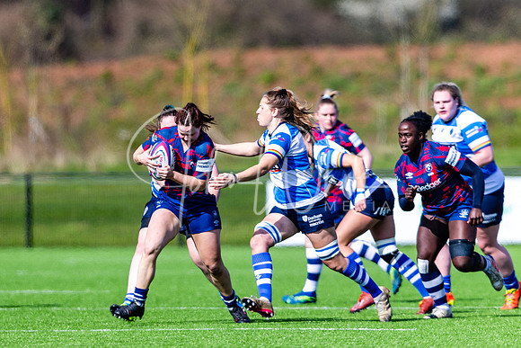 Dings Crusaders Henley Hawks