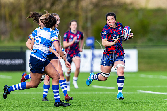 Dings Crusaders Henley Hawks