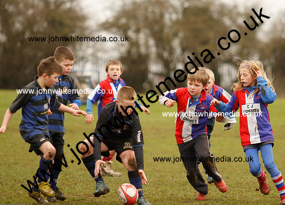 Dings v Sharks U-9s-87