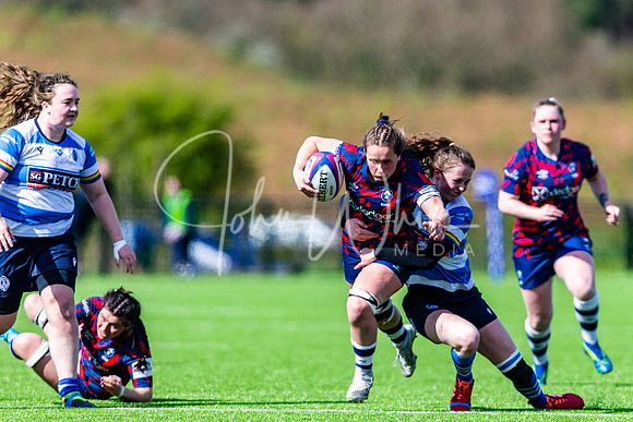 Dings Crusaders Henley Hawks