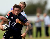 Dings Crusaders v Clifton