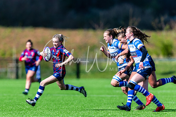 Dings Crusaders Henley Hawks