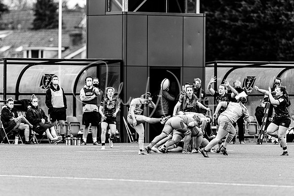 Bristol Bears Women v Harlequins Women 200321