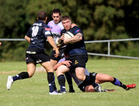 Dings Crusaders v Clifton